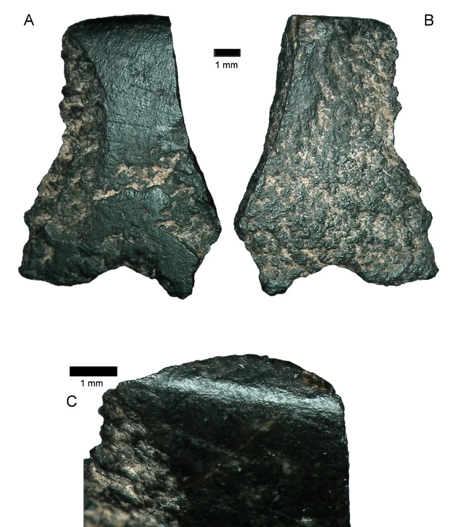 The world's oldest axe fragment, discovered in a remote region of Australia, is about the size of a thumbnail and dates back to 45,000-49,000 years ago