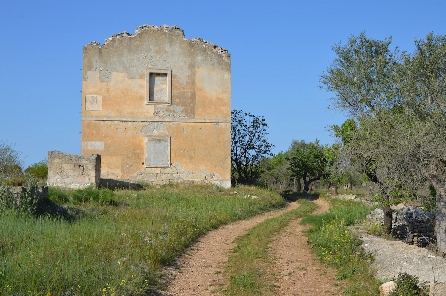 Casello Ferroviario is a dilapidated two-story home located in the middle of an olive grove