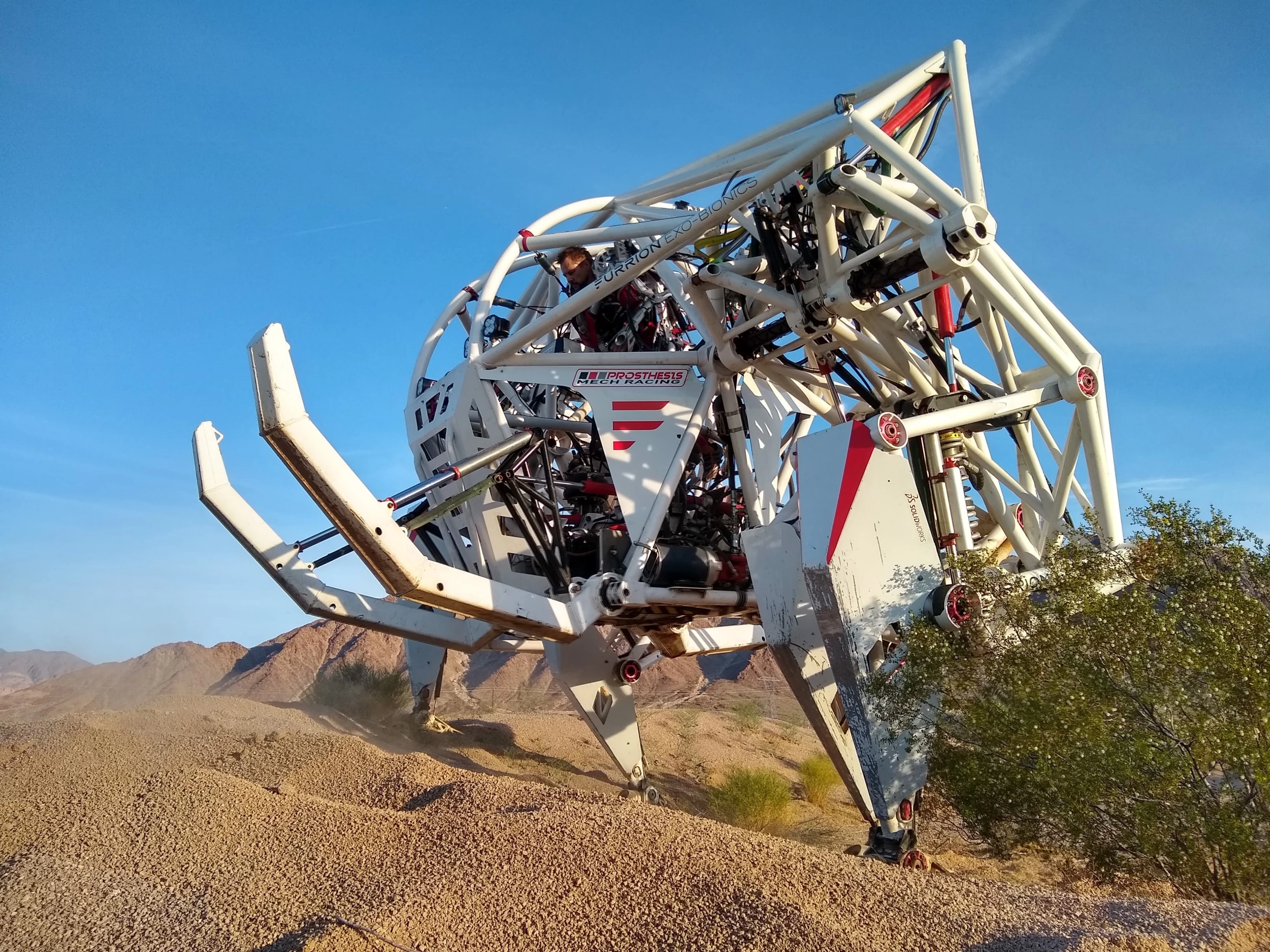 Those big tusks are powerful enough to pick up small cars