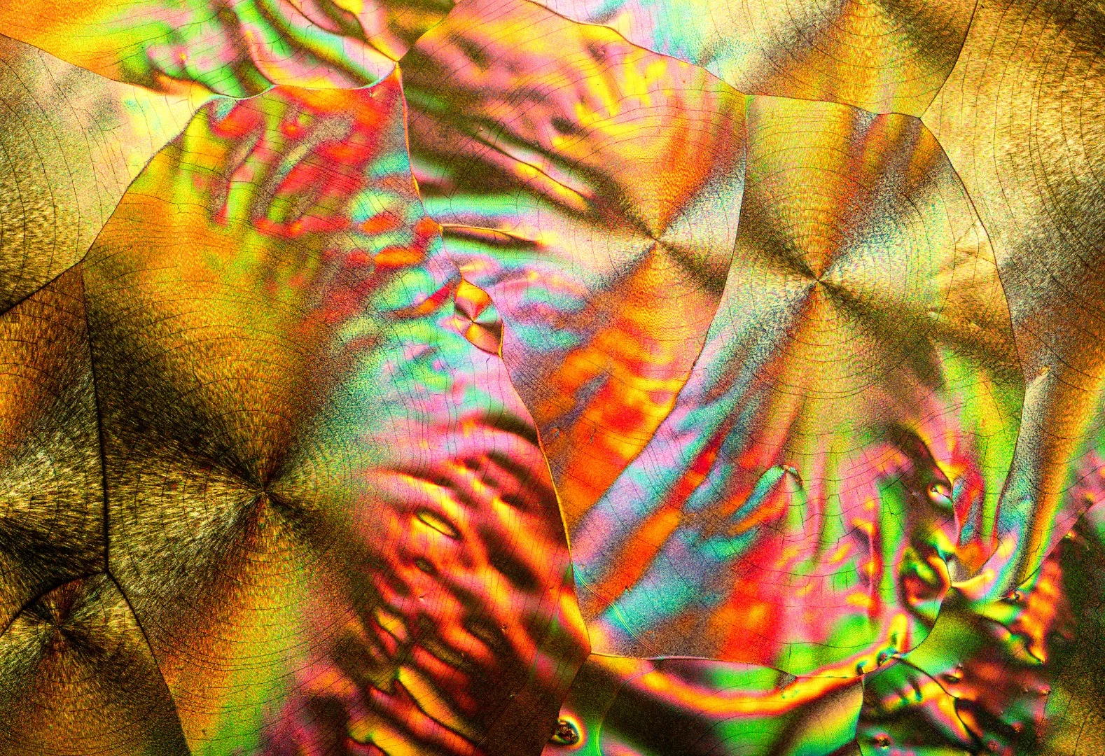 L-Glutamine and Beta alanine