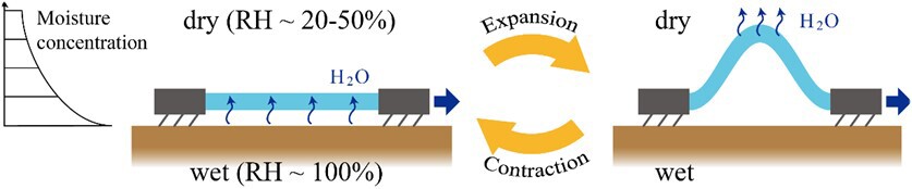 This schematic shows the concept behind the team's plant-inspired microrobot