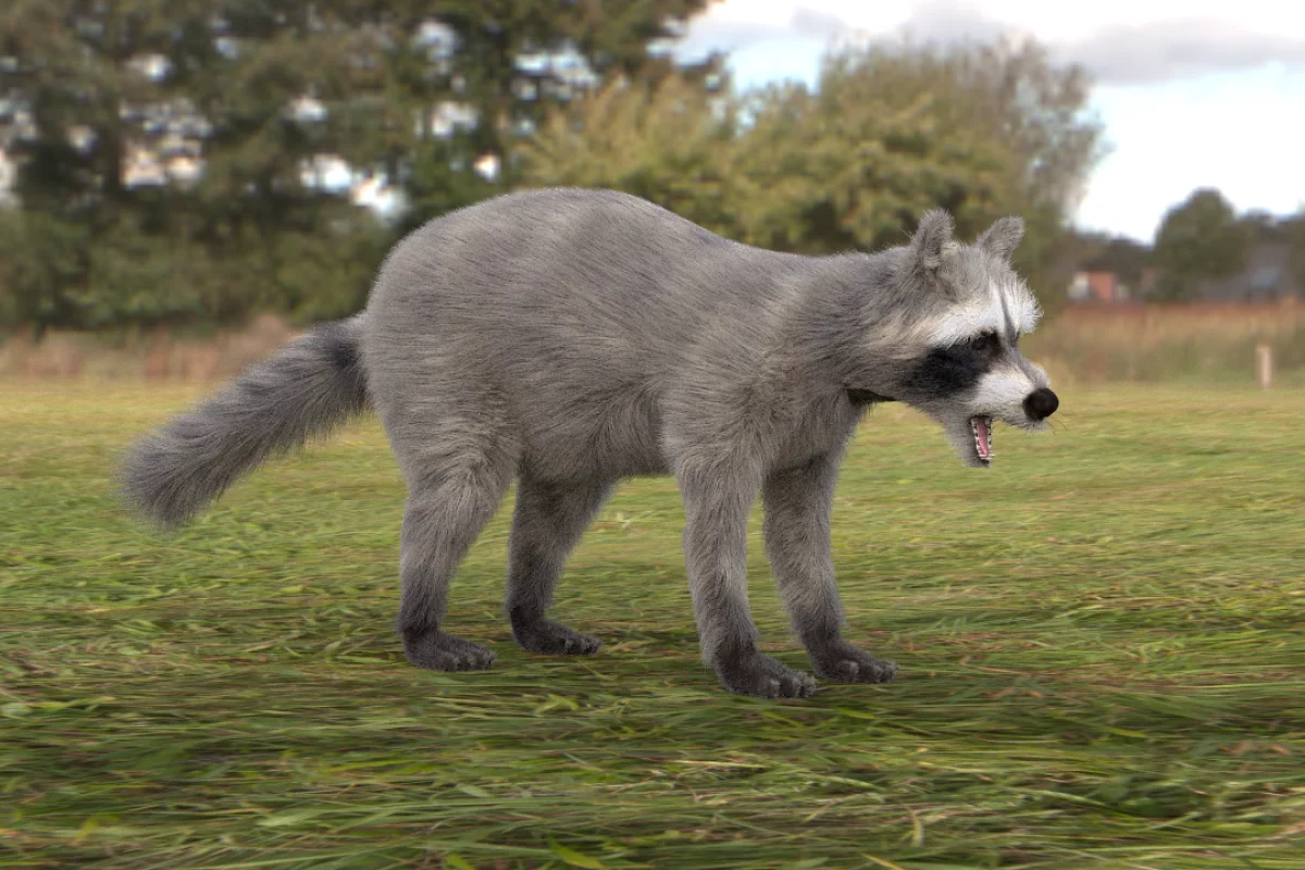 A raccoon with fur created using the new technique