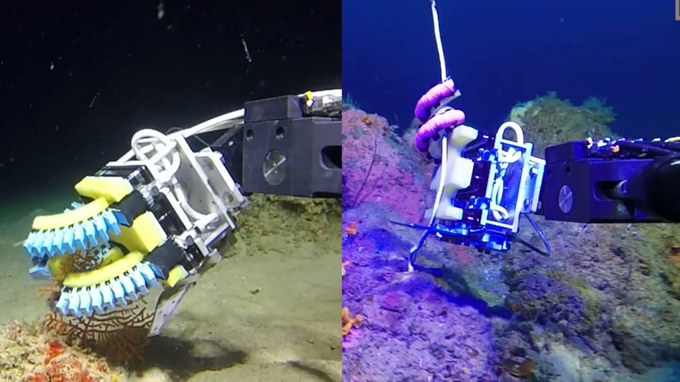 Two robotic hands were developed, one inspired by the coiling action of a boa constrictor (right) and the other featuring opposing pairs of bellows-style bending actuators (left)