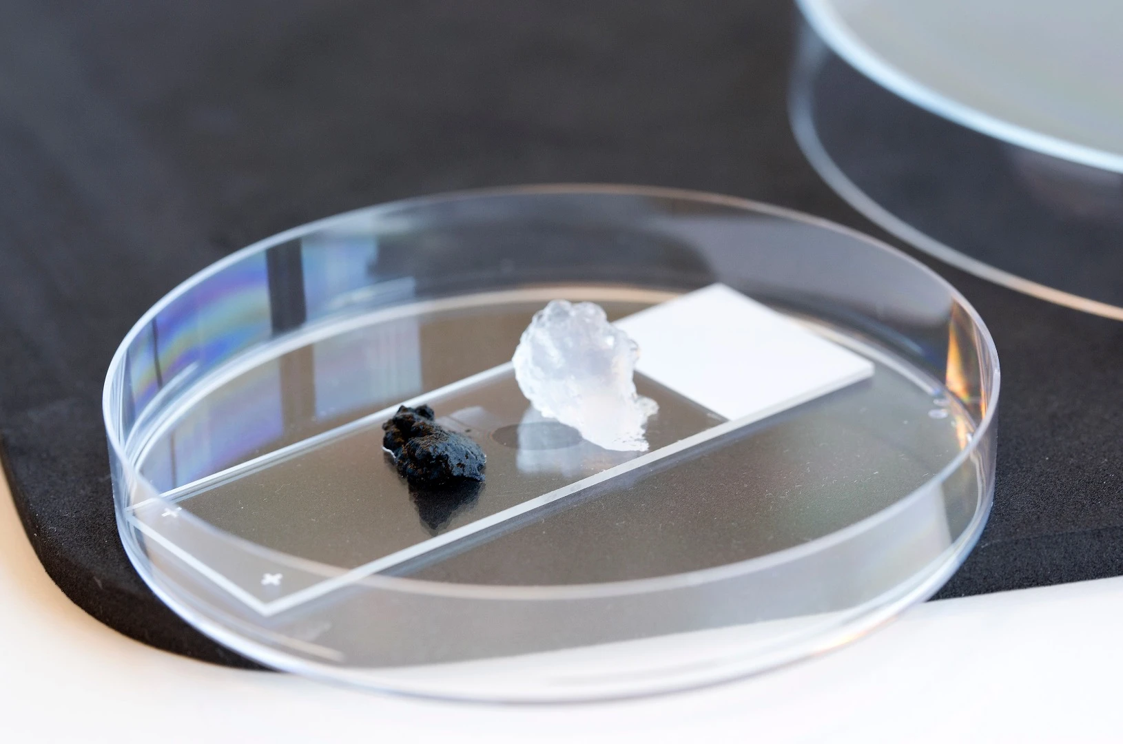 The black stuff is conductive nanocellulose gel, which contains carbon nanotubes, while the clear lump next to it is non-conductive nanocellulose gel