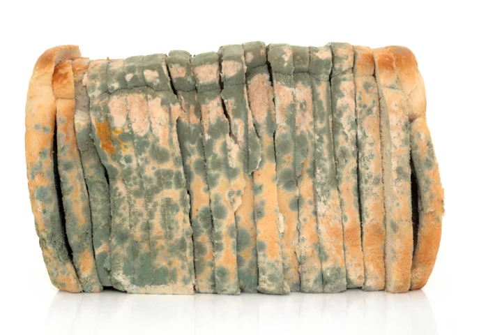 New technology could make moldy bread a much less common sight (Photo: Shutterstock)
