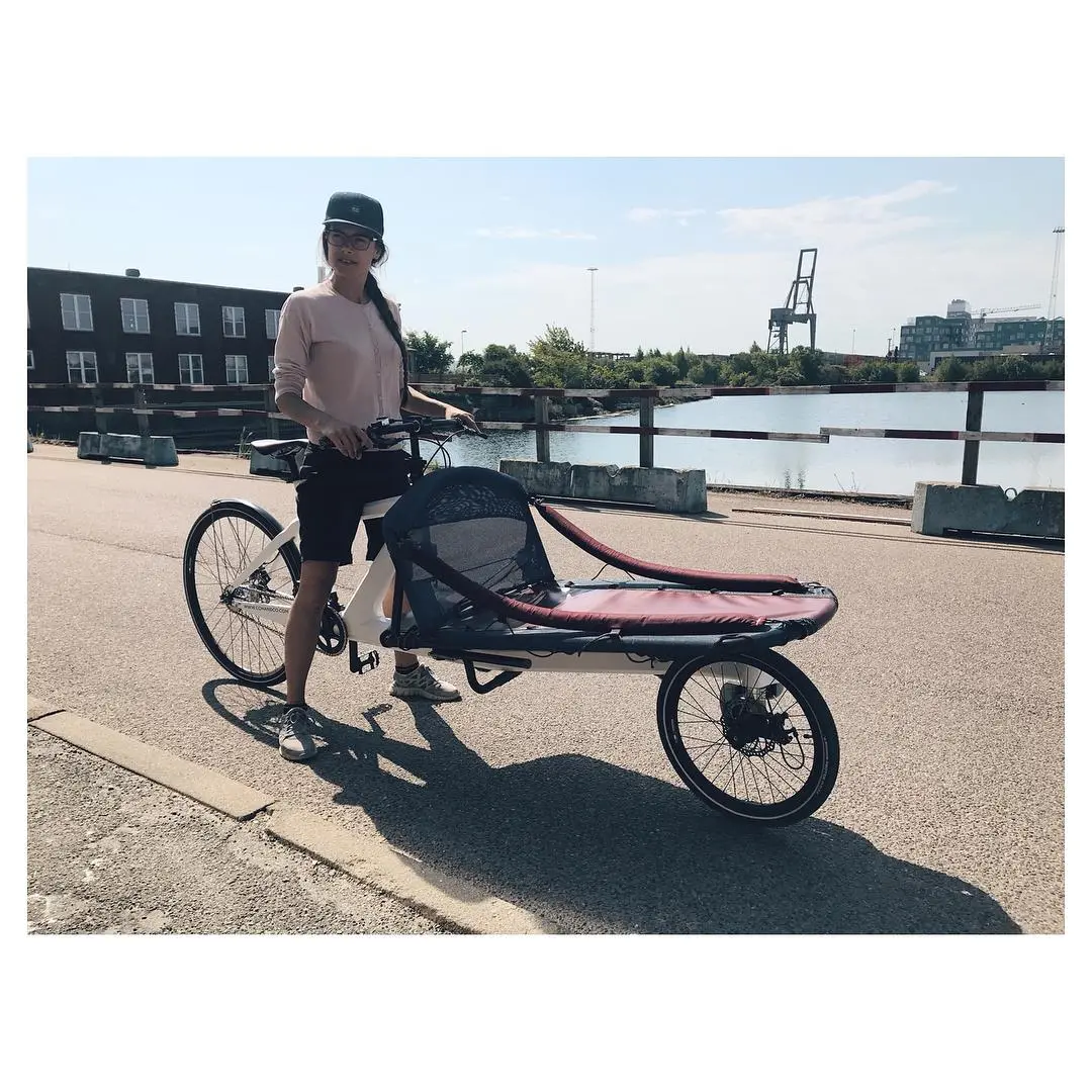 An electric hub motor can be optioned in to make hauling cargo with the VeloSled at little easier on the legs