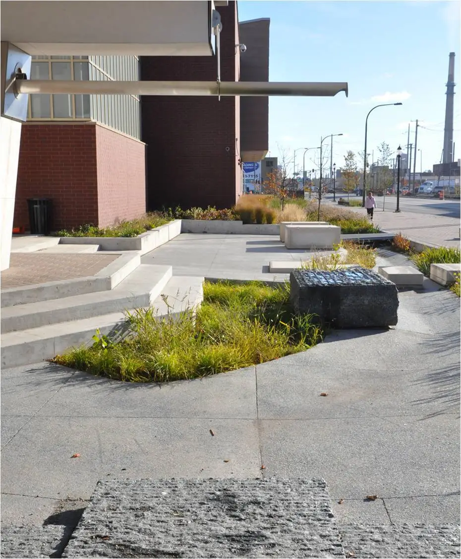 The project will pilot 95 drought tolerant, native plant species in bioswales and infiltration planters (Image: CDOT)