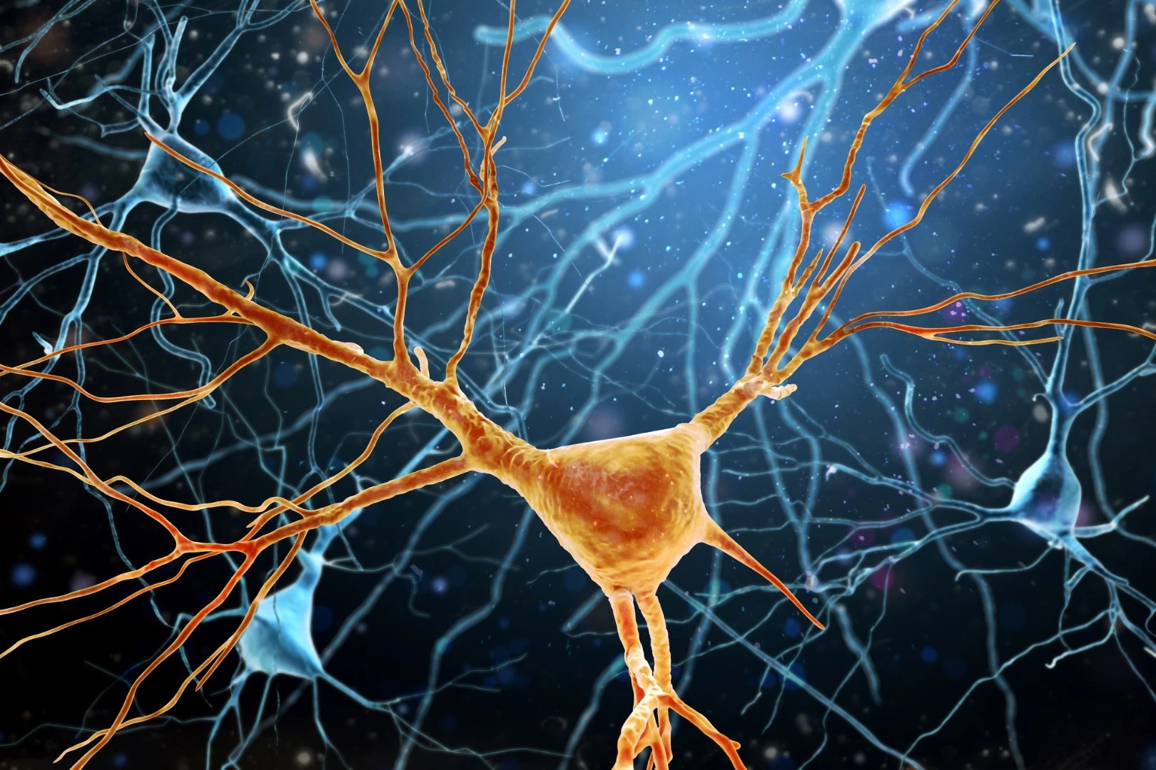 A new experimental drug has displayed success in stopping the progression of Parkinson's disease in mouse models