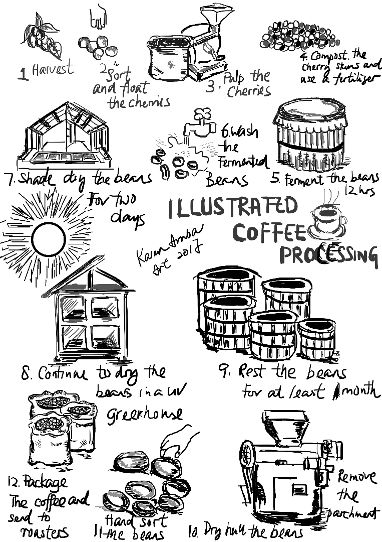 General sketching with the SonarPen