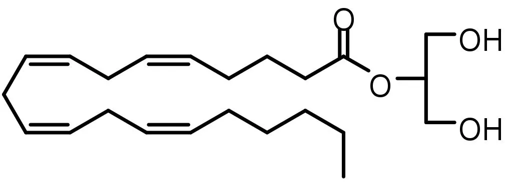 The molecular structure of 2-AG (2-arachidonolyglycerol)
