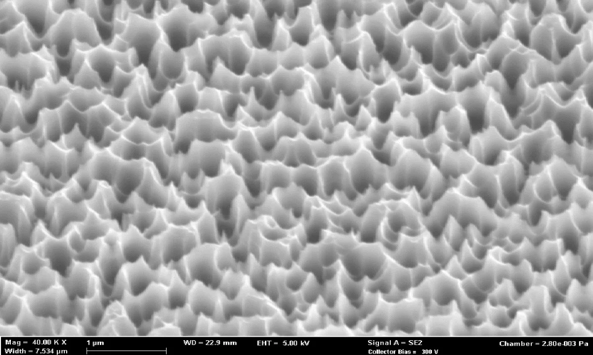 Silicon nanograss structure