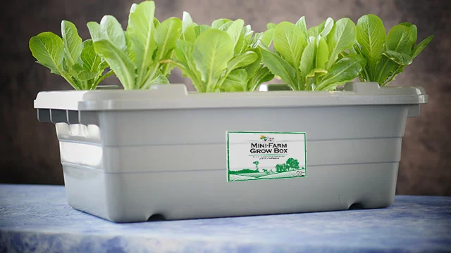 The Mini--Farm Grow Box from Food Rising (Photo: Food Rising)