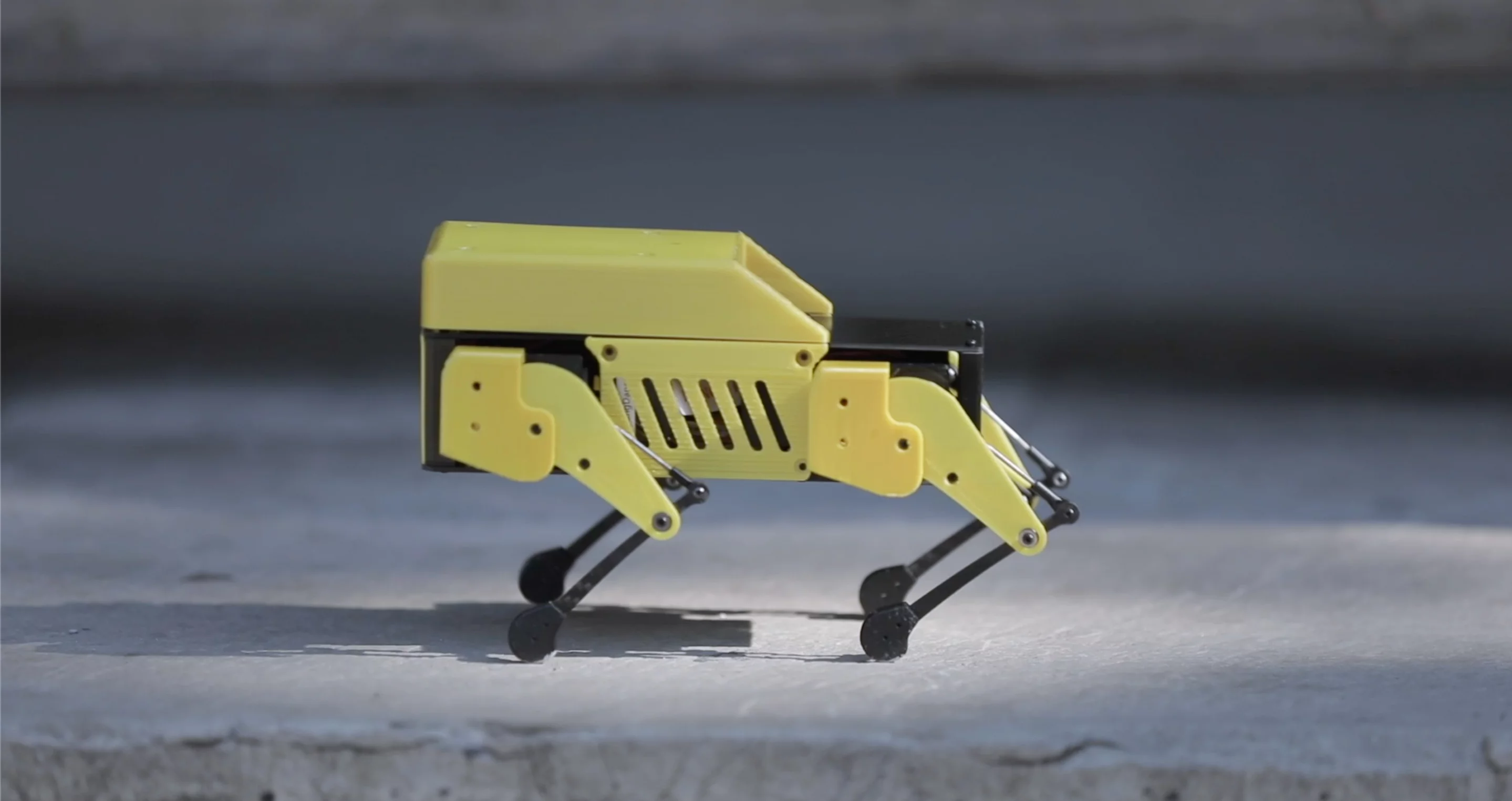 The Mini Pupper can walk at different gaits