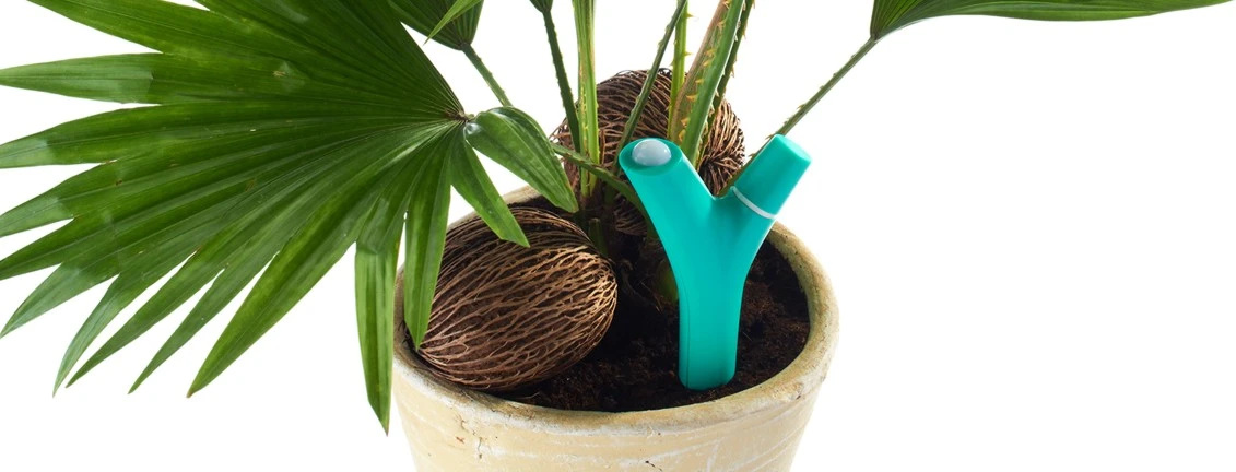 Flower Power is a wireless device that alerts you via your mobile device when your plants need attention