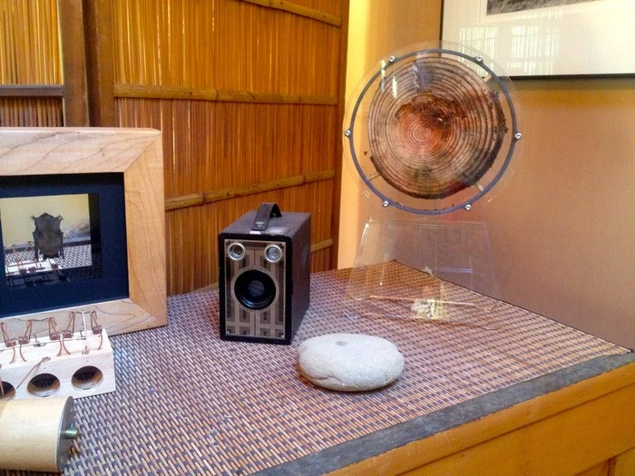 Owners just need to add a bit of water through a tiny hole in the top of the Termitat twice a month, and keep the display out of direct sunlight to avoid overheating
