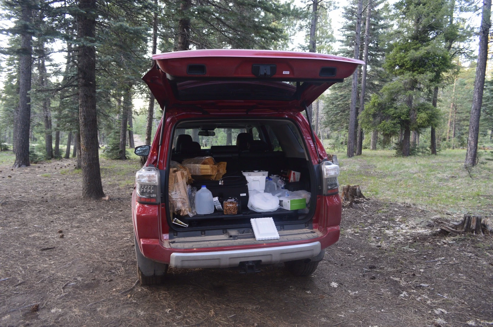 Plenty of room for camping trip cargo