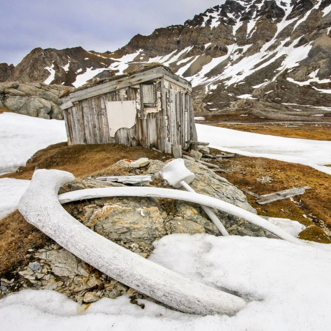Shortlisted - Whaler's Hut, Svalbard, Norway. "Whaling for blubber and oil was widespread in Svalbard from the 17th century, mainly by the British and Dutch. Due to the low temperatures some original huts from the period have survived completely intact and are now protected monuments. The sites are extremely fragile and must not be too closely approached, here featuring whale vertebrae and rib bones."