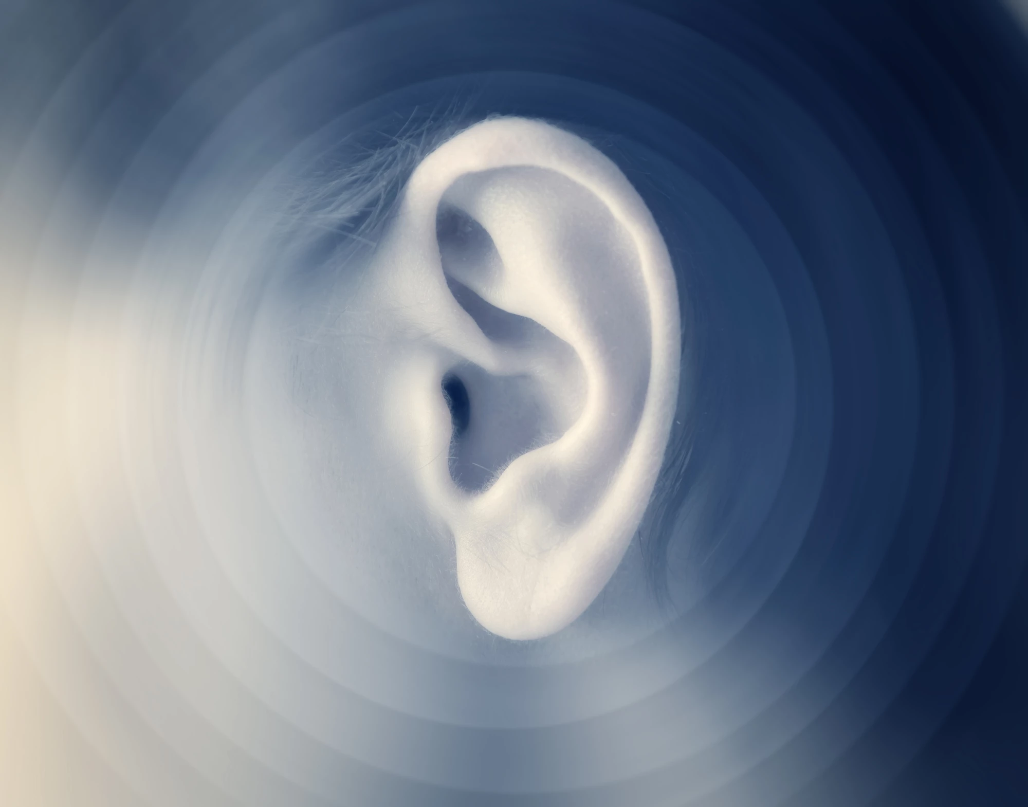Scientists have made a discovery could one day lead to regenerative treatments for hearing loss