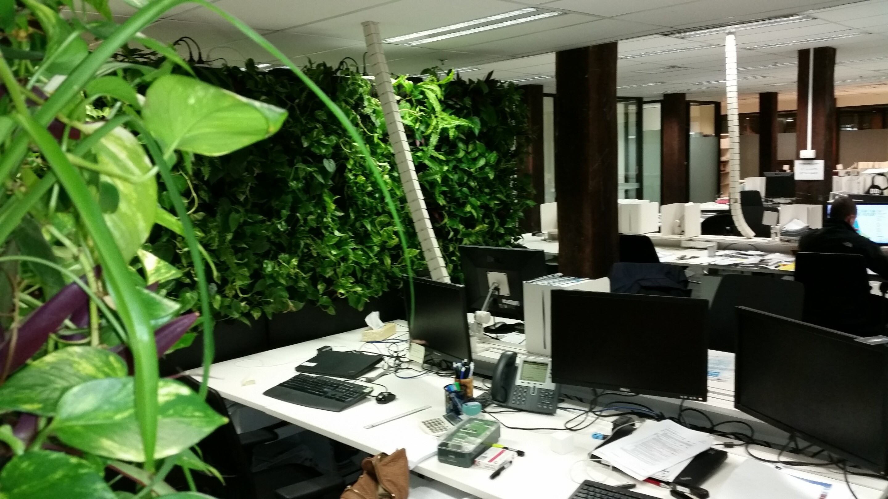 PodPlants Modular, plug and play vertical gardens for indoor spaces