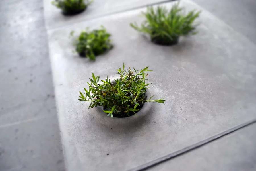 Grey to Green is a set of paving slabs allowing plants and vegetation to reclaim some space in urban environments