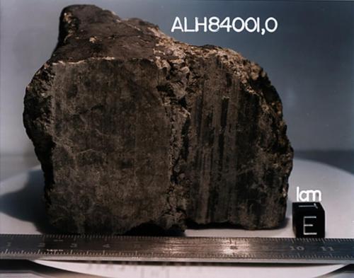 The Allan Hills 84001 meteorite