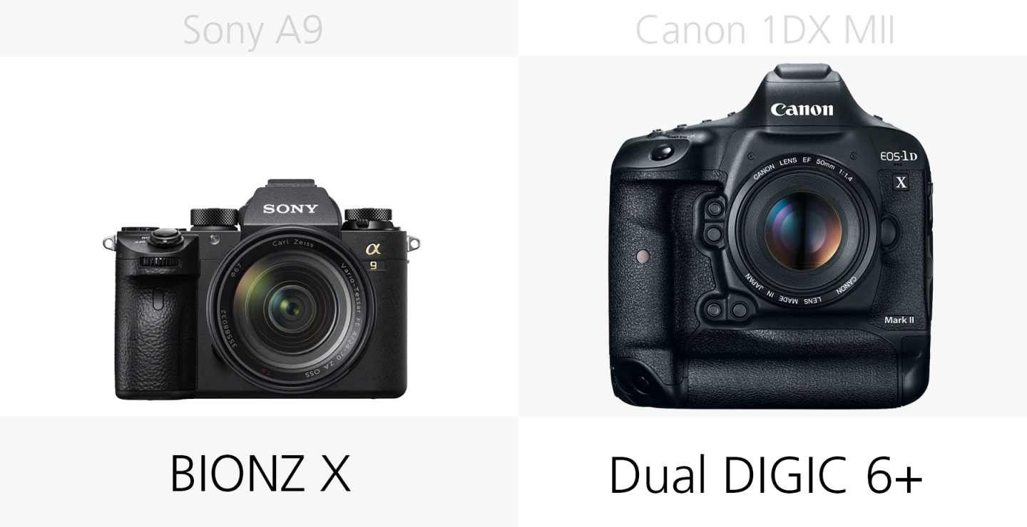 Comparing the image processors of the Sony A9 and Canon 1DX Mark II