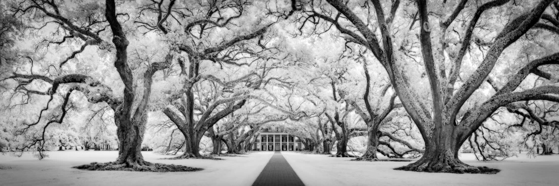 Highlight from the top 50 in Open Nature / Landscape