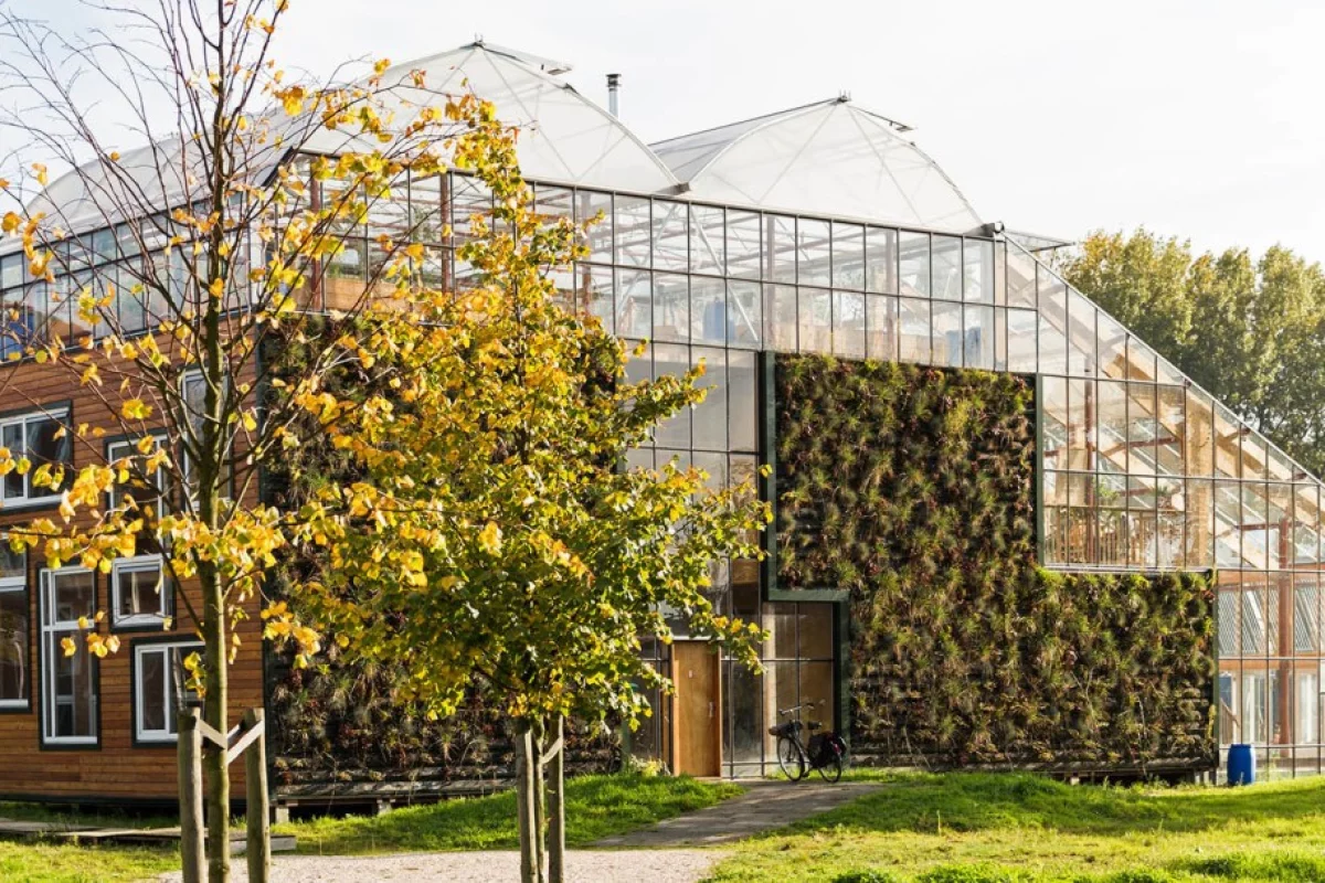 People in glass houses ... Helly Scholten and family will live in the home for a total of three years