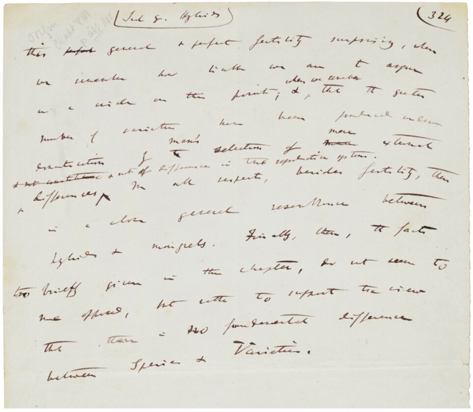 $647,769 | Autograph manuscript leaf from 'Origin of the Species' by Charles Darwin | Auction House: Sotheby's | Sale price: £490,000 | Official Estimate: £120,000 to £180,000 | Date of sale: July 9, 2018