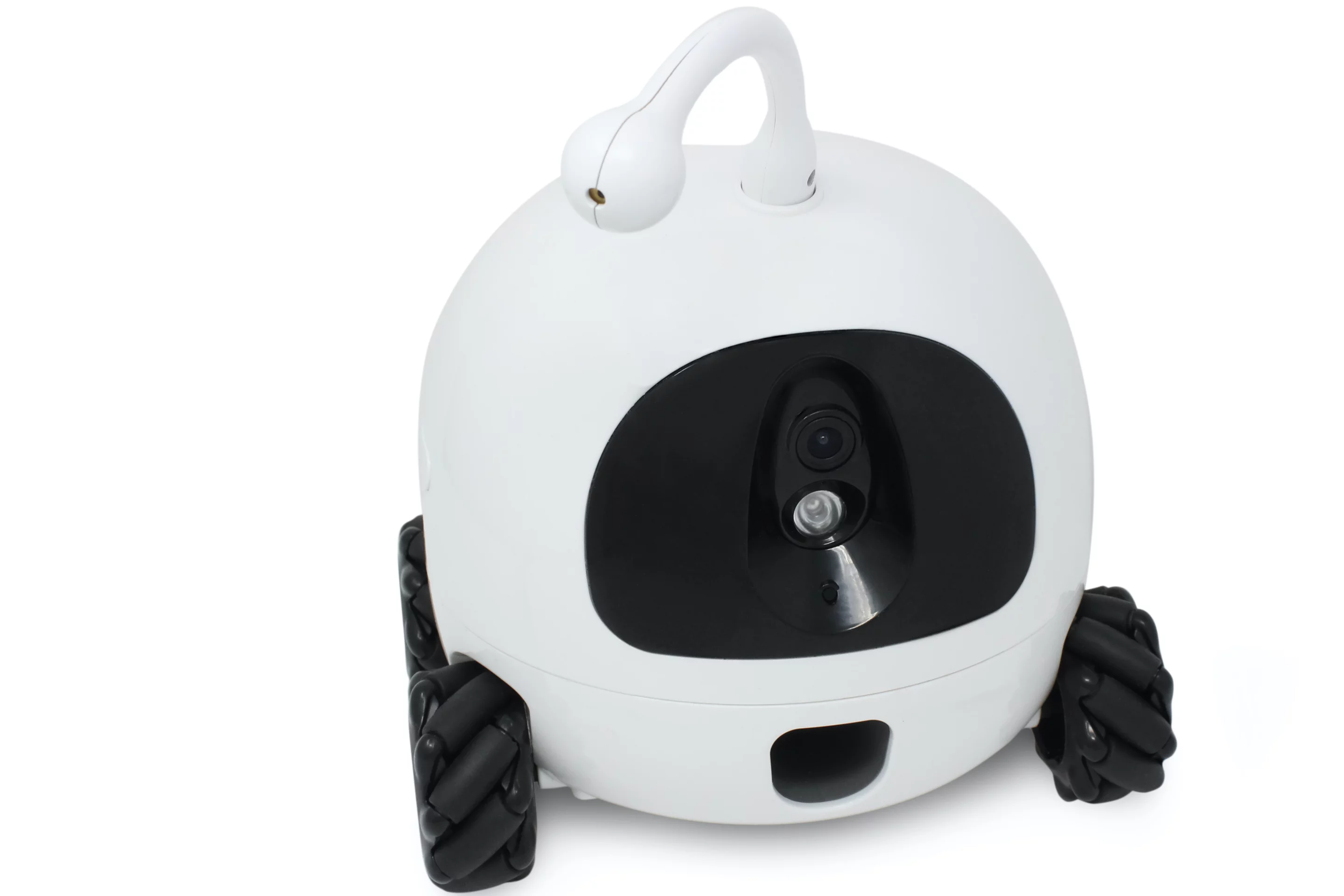 Rocki shoots treats a distance of 1 to 2 feet (0.3 to 0.6 m)