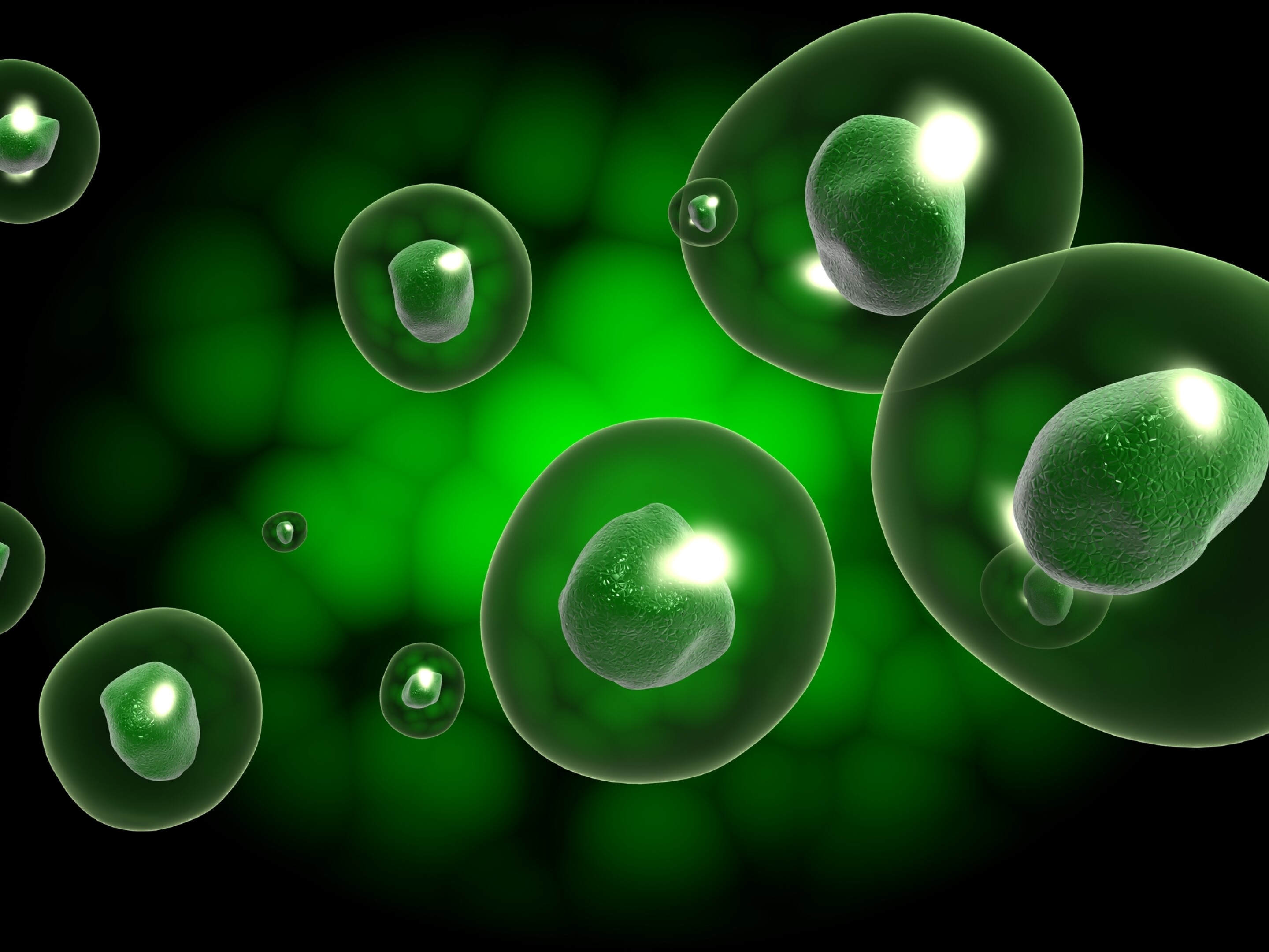 Antiaging breakthrough dials up fatty acid signaling to boost longevity