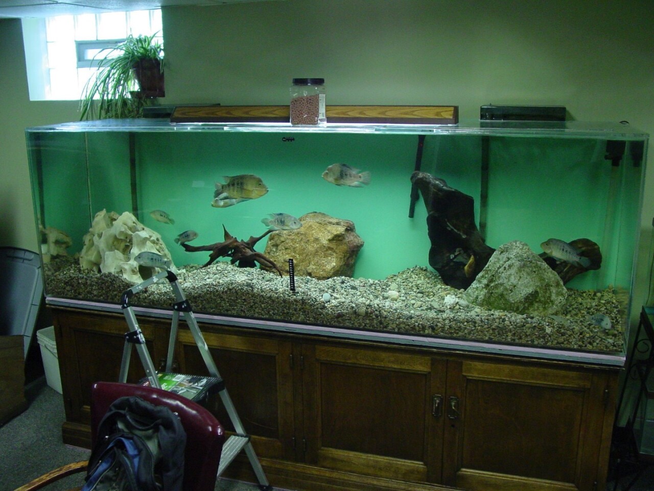 The tank in which Oldfield made the discovery