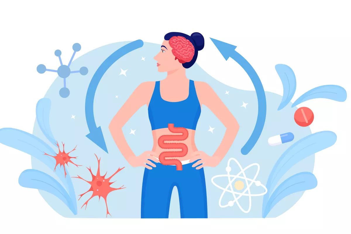 New research has uncovered a direct gut-brain mechanism by which bacteria trigger dopamine releases in the brain when a person exercises