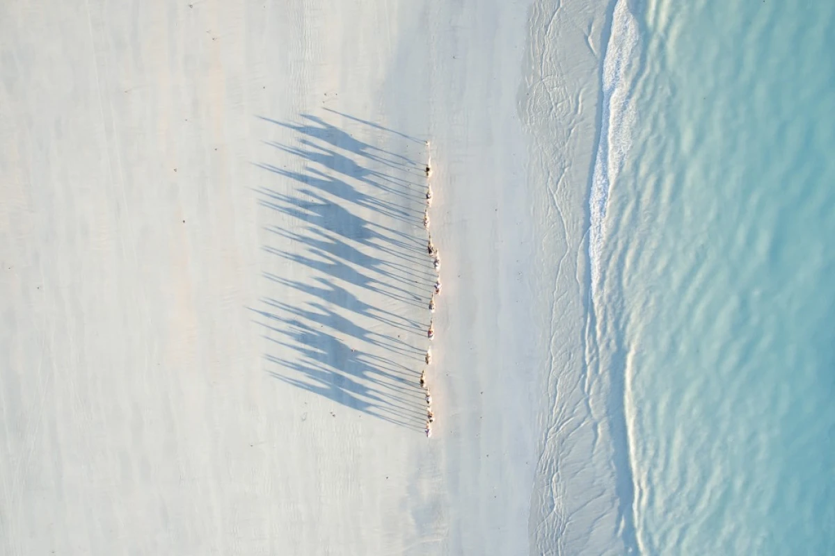 A caravan of camels casting long shadows across Cable Beach in Western Australia, the second-place winner in the Travel category