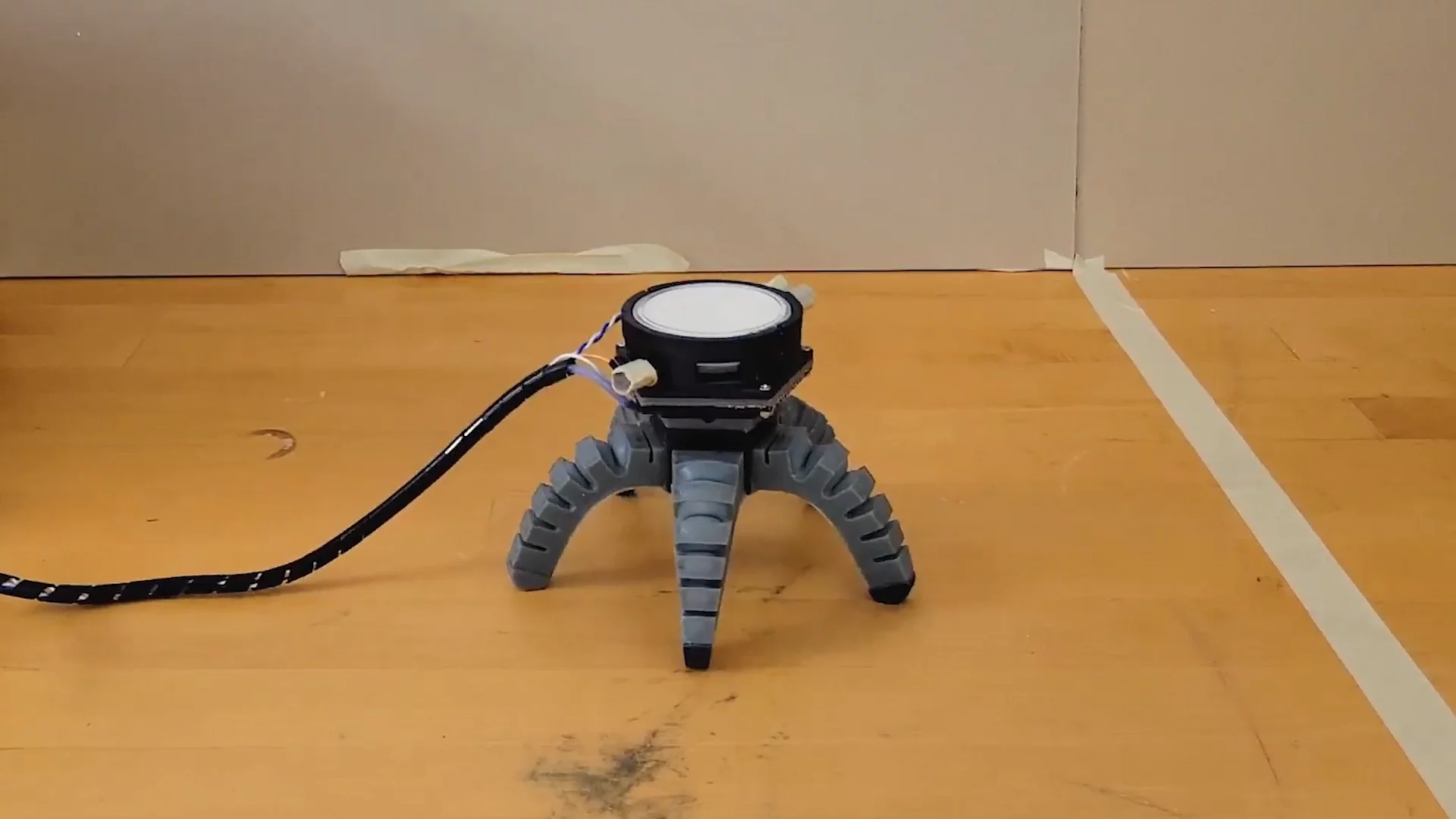 A spider-shaped biohybrid robot is driven by natural impulses from a fungus