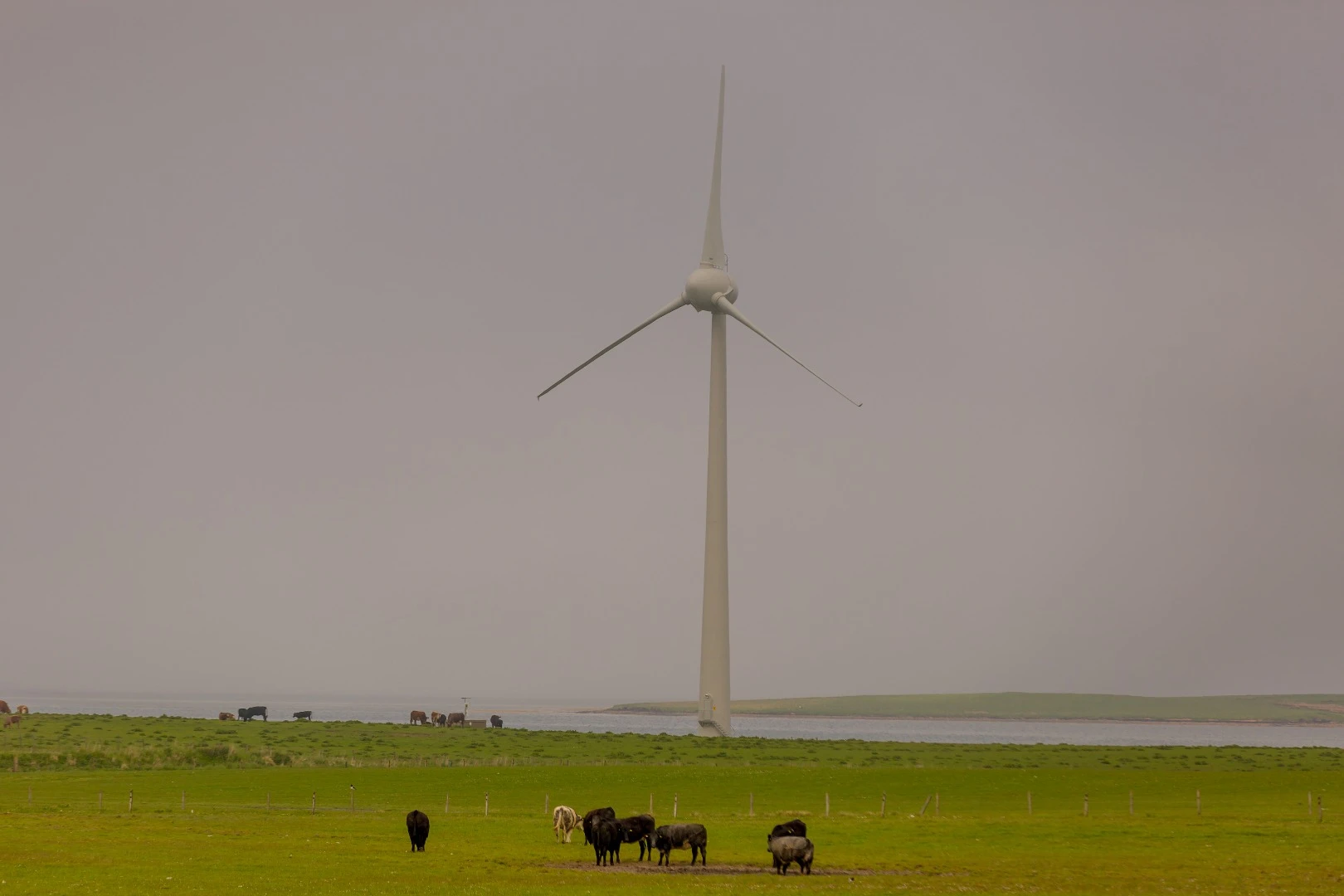 The nearby Orkney Islands are 100 percent powered by renewable sources, such as wind turbines