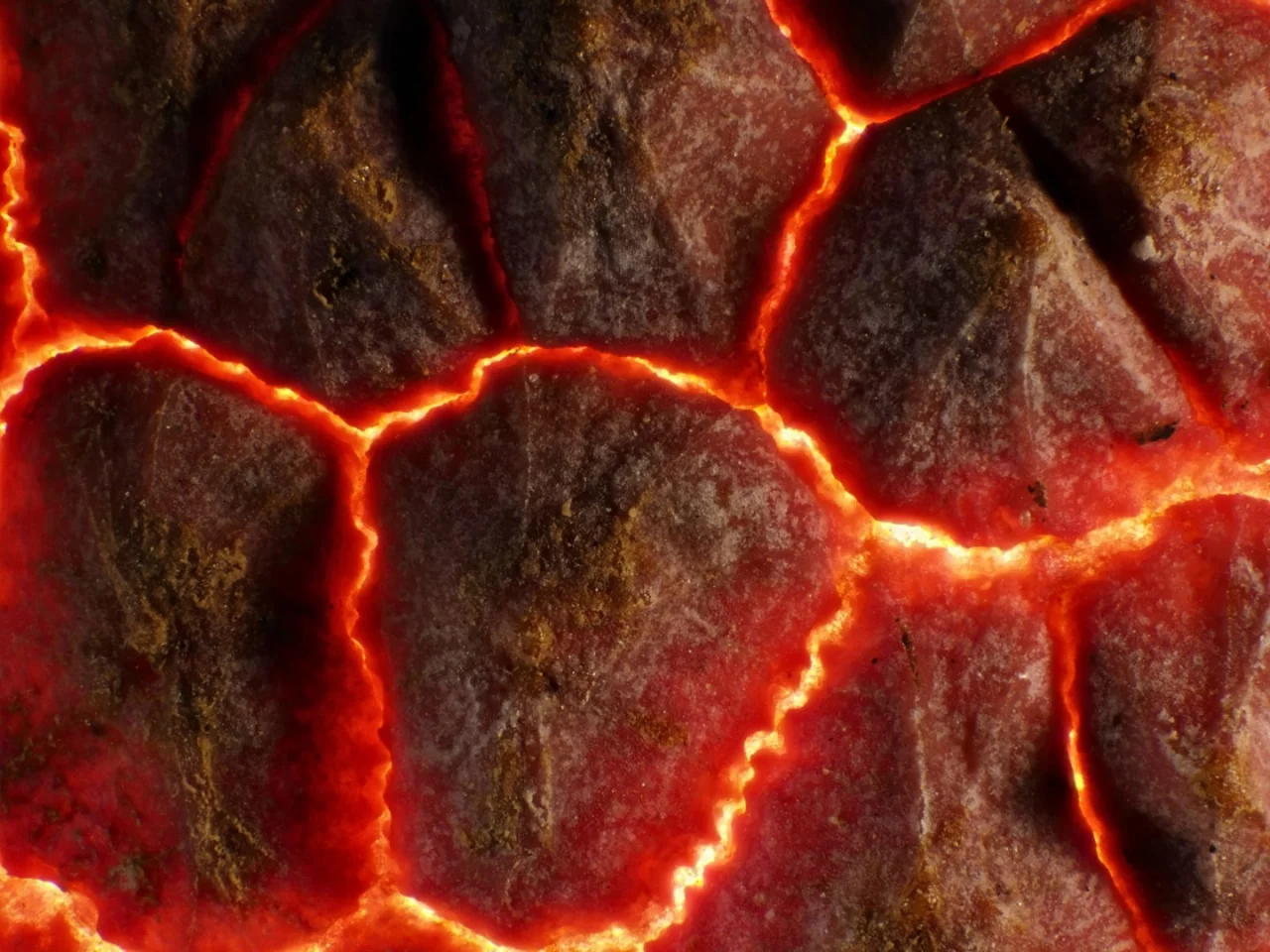 Honorable Mention: The shell of a lychee