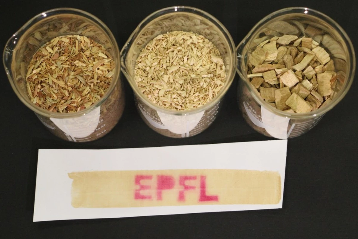 Woodchip feedstock, alongside