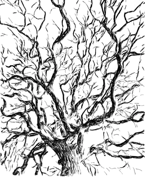 A tree depicted by eDavid