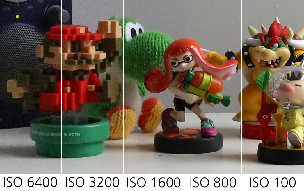 A 1:1 pixel crop (at 1040 pixel width) from images taken with a Canon EOS 5Ds showing noise at different ISO levels