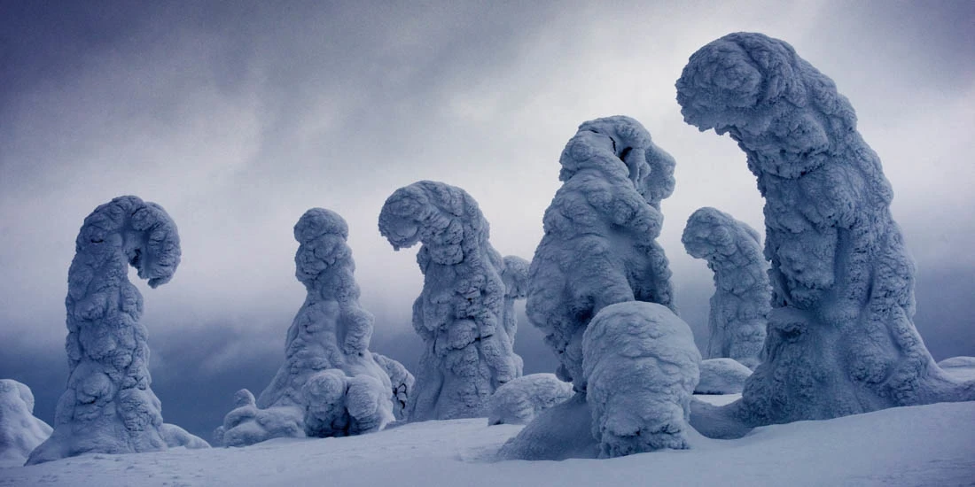 A highlight from the top 50 images in the Open, Nature category