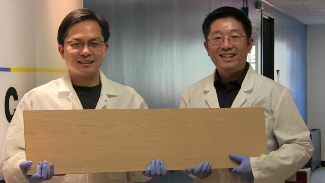 A new densification process can make "super wood" that's 12 times stronger than natural wood