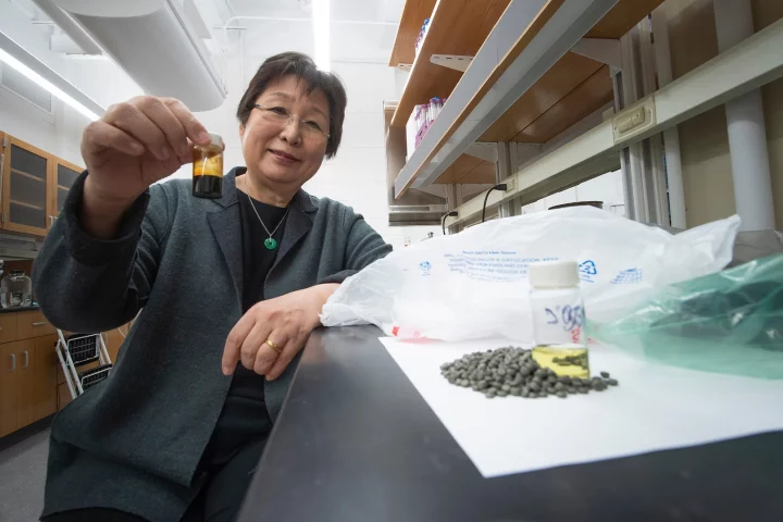 Chemical engineer Linda Wang led a research team at Purdue University in coming up with a new way to convert a common plastic into oil, opening up some exciting possibilities