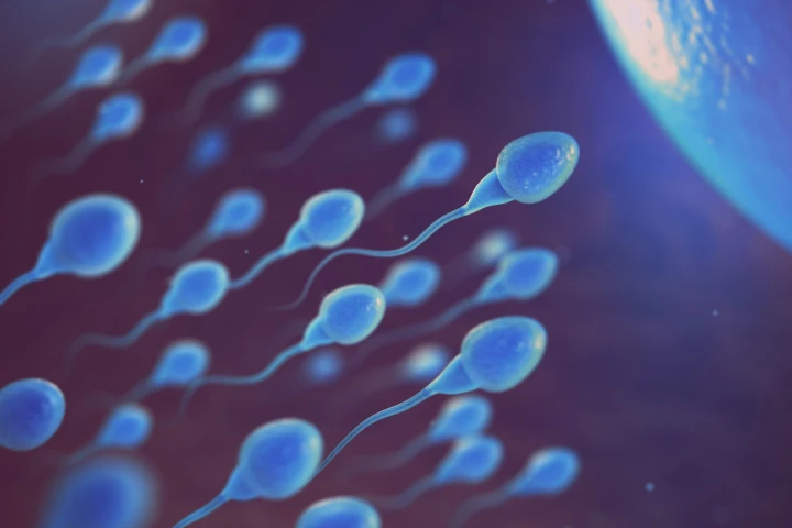 A thorough, yet observational, study found tight underwear does correlate with lower sperm counts, but not to a point where they are below a normal range