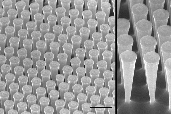 Tiny silicon cones inspired by the eye's fovea centralis could unlock big gains in solar cell efficiency (Image: S. Schmitt/MPL)