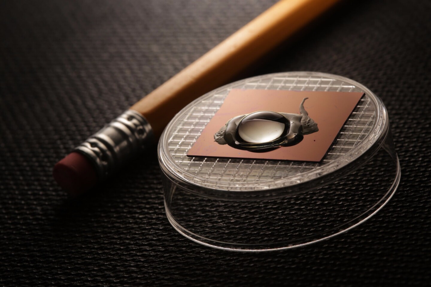 Currently in the proof-of-concept phase, the researchers believe that this is the beginning of implantable biosensor chip technologies that could detect specific DNA mutations