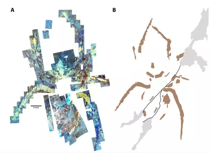 Image A shows a mosaic of parts of the specimen as seen under fluorescence microscopy, while Image B specifically highlights cracks, cemented areas (grey), and painted parts (brown)