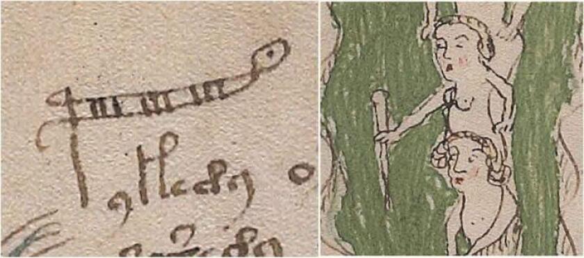The word palina – a rod for measuring water depth, alongside an accompanying illustration