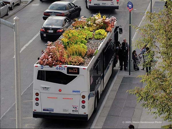 Digital mockup of a bus-top garden (Image: Marco Castro Cosio)