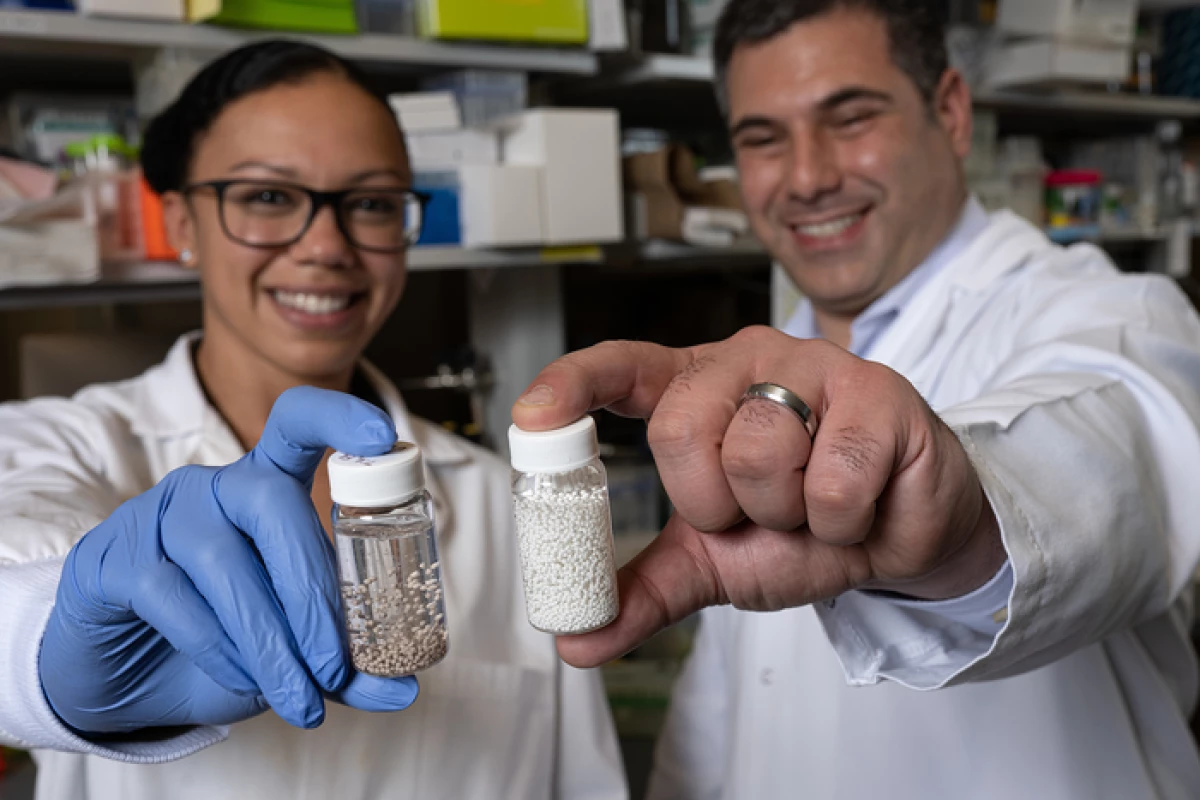 Study authors Amanda Nash and Omid Veiseh with their "drug factory" beads